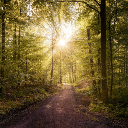 Spiritual Direction